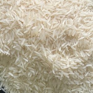 1509 creamy sella