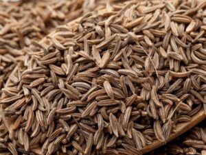 Cumin Seeds cumin2